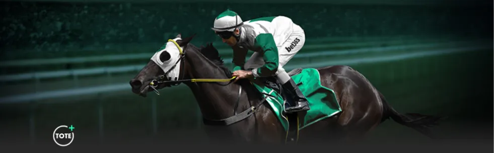 国足中场锋,线实力欠佳,年轻球员成,江南,JN,江南官网,江南体育官网,江南体育下载,江南APP